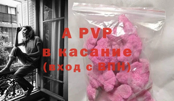 амф Белокуриха